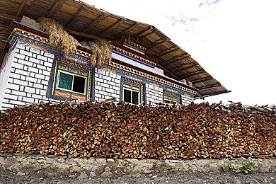 黄色app导航：探索墨西哥荒野，解锁地平线5稀有涂装全攻略-5
