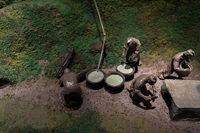 看黄色应用：追逐地平线金色荣耀，墨西哥落日竞速全攻略