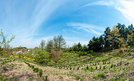 69乐园会员登录成功日志：极速狂飙，虚拟赛道之旅的终极会员日志-3