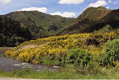 男男暴菊无套大学生：极速狂飙新作上线，夜间都市上演高风险竞速对决-3