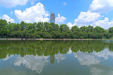 裸女的应用：极速幻影革新涂装，艺术曲线重塑赛车美学-2