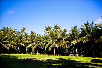 麻豆91精东传媒：霓虹都市，极速传说，改装车手争霸赛-3