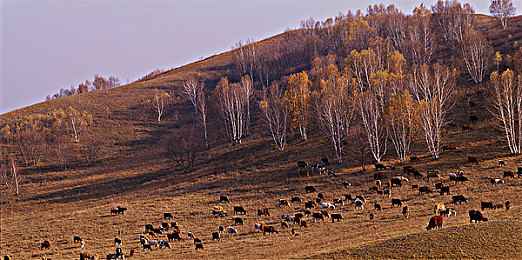 100款夜间禁用:暗夜驰骋,百鬼避行,生存竞速的终极试炼-2