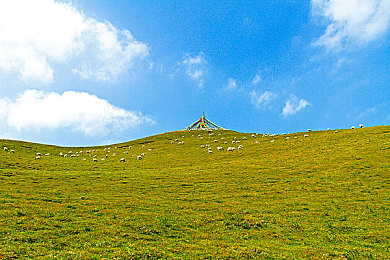 麻豆国产精品：霓虹城极速传说，自定义座驾征服开放世界-2