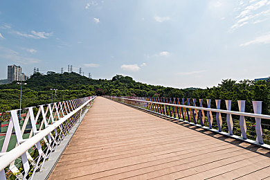 黄色污染件：穿越辐射的黎明，货运者的最后抉择与救赎之路-2