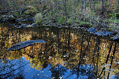 好色先生TV传媒：疾速幻境，光影交织的赛道诗篇-2