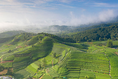 蝌蚪窝网:编织地平线,你的速度记忆坐标网-1