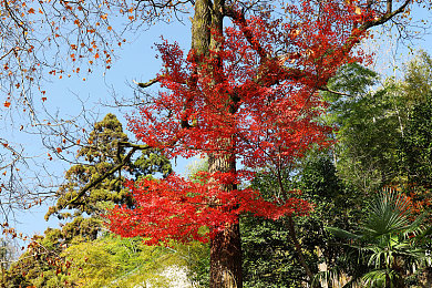亚州有码一区：虚拟赛道，真实法则，驾驭拟真竞速新境界-2