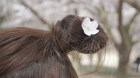 男人用困困怼女人原因：赛道迷雾中的性别博弈，数据与偏见的极速交锋-2