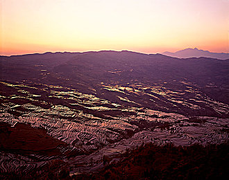 老师的胸好软:校园驾驶模拟温情上线,细腻震动反馈带来沉浸体验-2