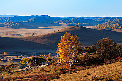 免下载av：即刻驰骋墨西哥，地平线5云端驾驶新纪元开启-2