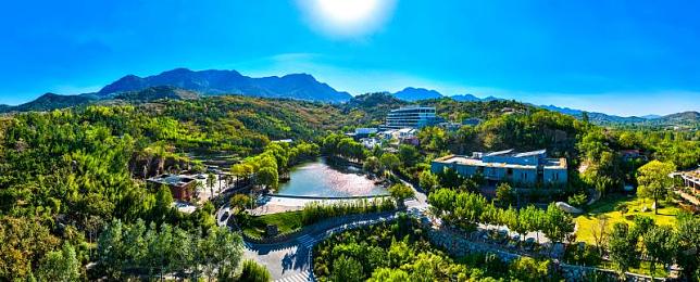 夜间禁用100大软件：暗影疾驰，科技剥离后的纯粹竞速革命