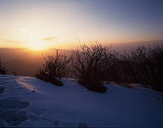 亚洲一区二区h：霓虹都市与雨林山道，双面赛道驾驶终极挑战-3