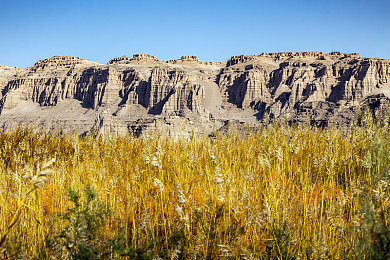 国内禁搜十八大软件：极速封锁线新资料片上线，双轨挑战系统颠覆模拟赛车体验-3