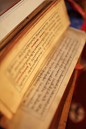 tiktok色板2.4.1：极速变色挑战今日上线，你的反应力能驾驭色彩赛道吗-4