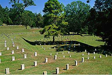 男生小困困入女生小困困小学：彩虹涡轮闯关，勇气校车的奇幻反转之旅