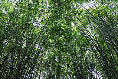 男生和女生上差差：《极速地平线》新数据揭示，不同玩家驾驶风格如何塑造竞速格局-4