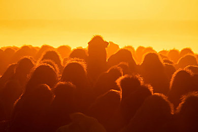 阿娇陈冠希囗交69：双人竞速新作今日上线，协同驾驶机制革新赛道对决-3