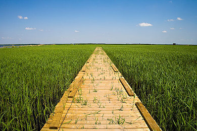 一区二区三区A∨：从新手到高手，赛车游戏的完整进阶指南