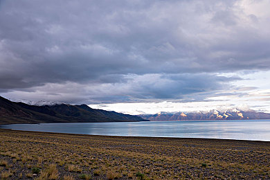 蝌蚪窝是一个：《极速进化：赛道起源》今日上线，揭秘新手车库如何蜕变为冠军摇篮