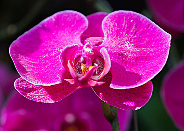 亚一区二区三区:驾驭地平线,从晨曦到风暴的竞速成长之旅-2