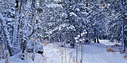 看美女不穿衣服的软件：虚拟现实竞速新作上线，透视模式解锁赛博格科技伦理新玩法-4