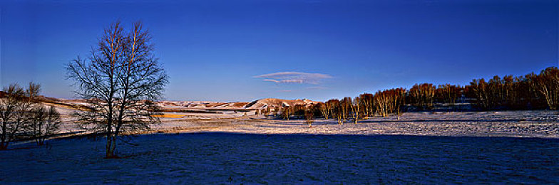 杨思敏1-5集全部演员表：街头传奇，极速人生，全角色竞速指南与终极驾驭之道