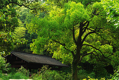 女大学生自慰：车库中的星辰，赛道上的方程式-2