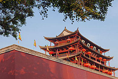 tiktok国际版色板ios2.4.1：极速调色板全新版本上线，色彩竞速与社交潮流完美融合-2