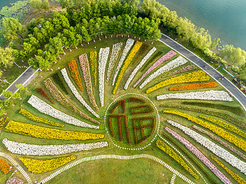 性别隐自由成熟性别经典：霓虹座驾与无界化身，驶向自定义的夜城身份-3