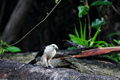 两个人看的www中文在线观看视频：双人共驭，极速同心，协作竞速新纪元-3