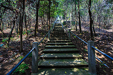 被操软件：黑客与赛车交织，数字战场上的极速入侵-2