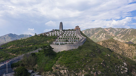 里枝平冈子息与子角色关系解析：战国权谋中的人际天平，你的选择将重塑家族命运与情感羁绊-2