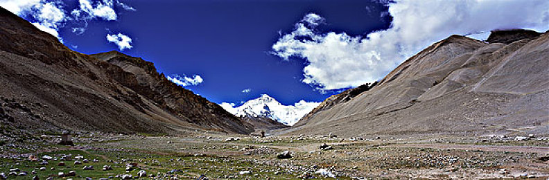 奶头软件：深度解析车库帝国，如何让硬核改装成为全民热潮-2