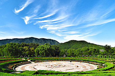 双人床上打扑克网站：极速搭档，扑克赛道上的默契狂飙与策略交锋-2