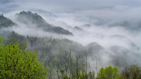 十大禁用App：竞速新作颠覆玩法，虚拟座舱暗藏致命诱惑与伦理抉择-2