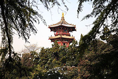 17C黑料爆料：揭秘隐藏赛车,打破游戏平衡的极限攻略-2