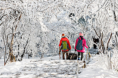成人国产电影：国产赛博竞速新作，霓虹暗影中的速度与人性抉择-3