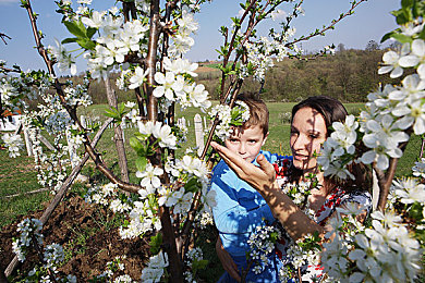 黄色软件下载免费oppo版破解大全华为手机：掌上飙车新纪元，移动竞速游戏全攻略与深度评测-2