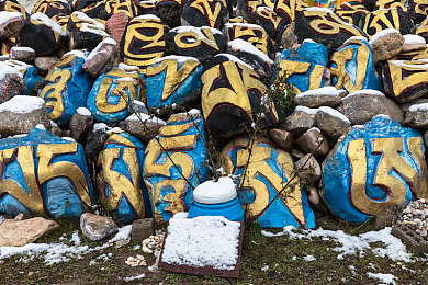 vivo黄色软件免费下载：极限竞速地平线移动版上线，开放世界竞速新体验-2