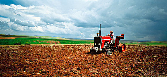 福利视频app导航：地平线5摄影全攻略，掌握墨西哥绝景拍摄时机与高级构图技巧-3