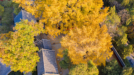 国产 电影av：竞速新作今日公测，驾驶与镜头交织的沉浸体验正式上线