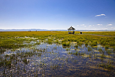 蜜桃污：粉红废土狂飙，改装战车引爆末日竞速新纪元-2