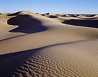 中文一区：硬核赛车新纪元开启，顶尖玩家争夺虚拟赛道霸权