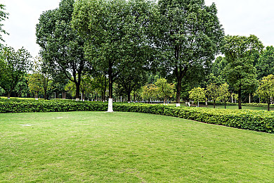 男同打飞机网站：云端制衡，苍穹博弈的战术飞行艺术-3