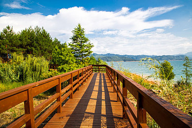 捆绑向上奴役支配：今日上线，征服赛道与资本的赛车帝国终极攻略揭晓-2