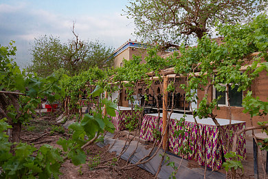 OPPO3.03每天无限破解:每日智破代码矩阵,驾驭街头极速传说-2