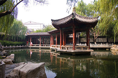 18岁禁止APP：暗夜城狂飙，速度与欲望的边界交锋