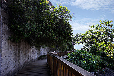 黄色软件大全下载oppo：OPPO平台赛车游戏深度评测，极致画面与操控技巧全解析-3