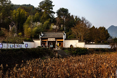 黄色软件app下载3.0.3免费v：极速狂飙全新版本上线，真实物理引擎与免费畅玩引爆竞速热潮-3